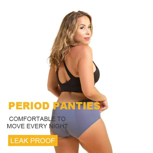 Leak Proof Protective Panties